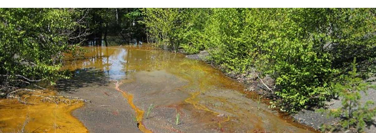 Acid mine drainage pollution in a stream in Cambria County, Pennsylvania IMAGE: Rachel A. Brennan, Penn State