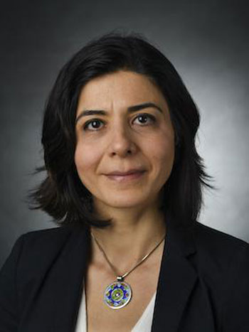 Parisa Shokouhi,