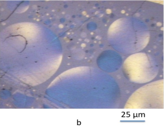 These polarized-light micrographs are examples of optical textures of semi-cokes obtained from laboratory experiments at 25 um.